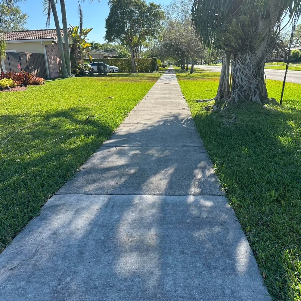 Clean walkway after pressure washing in Miami